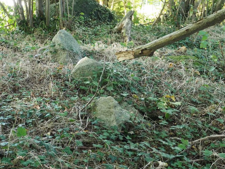 Großsteingrab Testorf, Germany
